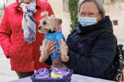 Las mascotas ya son habituales en todos los espacios, también reivindicando por la fibromialgia.