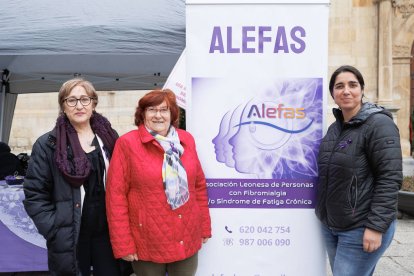 La presidenta de Alefas, Ana Fuertes, y otras representantes.