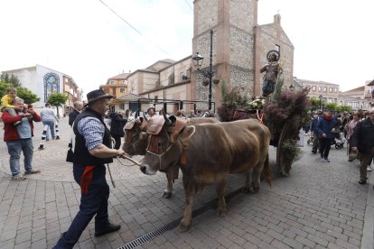 Procesión de San Isidro en Santa María del Páramo.