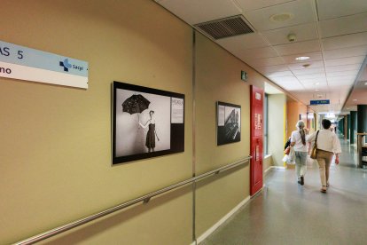 La exposición fotográfica es de Jordi Ferrando.