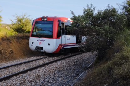 El tren Feve descarrillado en el municipio de La Ercina.