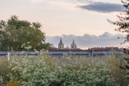Imagen de la Catedral de León