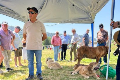 Fiesta de la trashumancia en Prioro.