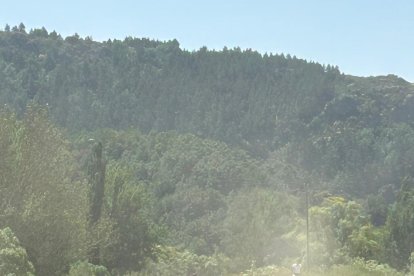 Fiesta de la trashumancia en Prioro.
