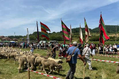 Fiesta de la trashumancia en Prioro.