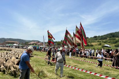Fiesta de la trashumancia en Prioro.
