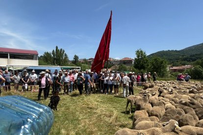Fiesta de la trashumancia en Prioro.