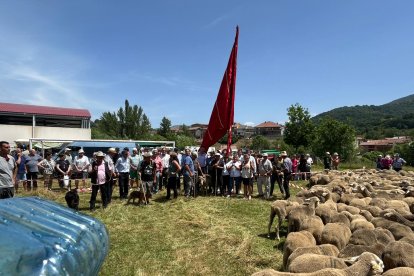 Fiesta de la trashumancia en Prioro.