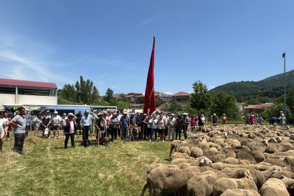Fiesta de la trashumancia en Prioro.
