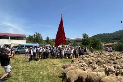 Fiesta de la trashumancia en Prioro.