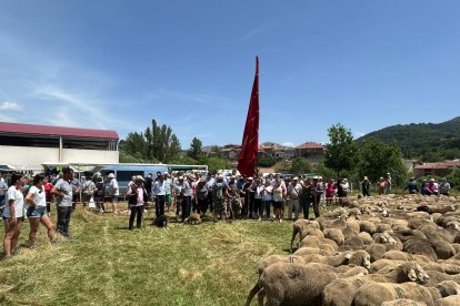 Fiesta de la trashumancia en Prioro.