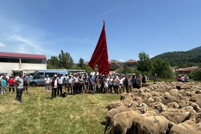 Fiesta de la trashumancia en Prioro.