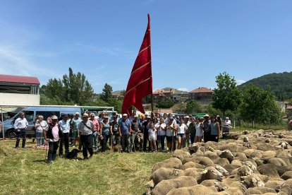 Fiesta de la trashumancia en Prioro.