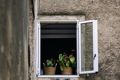 Ventanas abiertas.