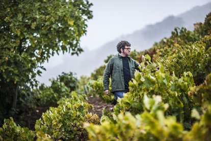 Ricardo Pérez, bodeguero de Descendientes de  J. Palacios.