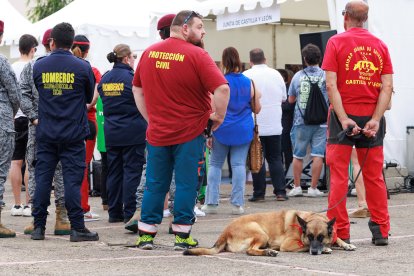 El consejero de presidencia presidió la inauguración del festival de la cooperación.