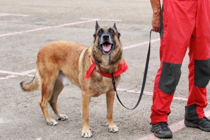 El consejero de presidencia presidió la inauguración del festival de la cooperación.