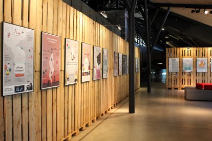 CARTELES DE LA EXPOSICIÓN