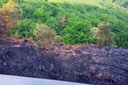 Se salvó el verde del icono central, pero ardieron las tablas del mirador de Orellán