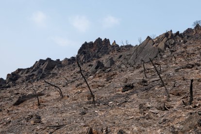 Imagen de uno de los montes arrasados por el fuego