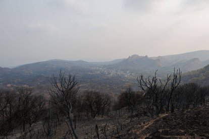 Imagen del horizonte ennegrecido de la comarca