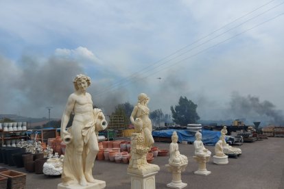 Imagen tomada en la zona del rastrillo, con el incendio al fondo.