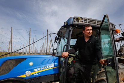 Campaña del lúpulo.