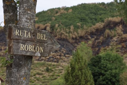 Riaño y sus alrededores.