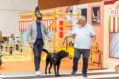 El gerente de Servicios Sociales realiza la prueba de guiado a ciegas con el perro de la Once.