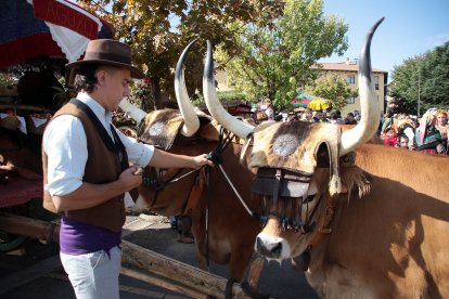 Tradicional concurso y desfile de carros engalanados.