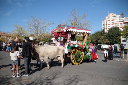 Tradicional concurso y desfile de carros engalanados.