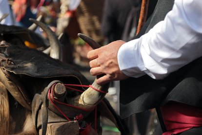 Tradicional concurso y desfile de carros engalanados.