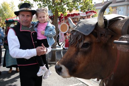 Tradicional concurso y desfile de carros engalanados.