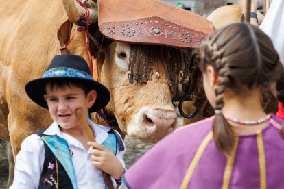 Concurso y desfile de carros engalanados en San Froilán.