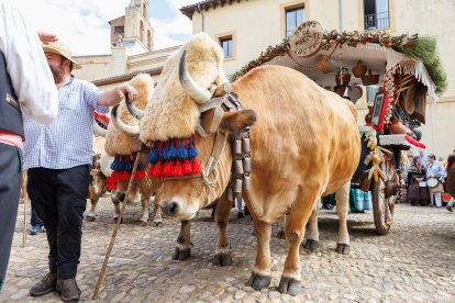 Concurso y desfile de carros engalanados en San Froilán.