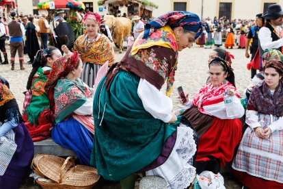 Concurso y desfile de carros engalanados en San Froilán.