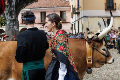 Concurso y desfile de carros engalanados en San Froilán.