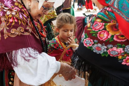 Concurso y desfile de carros engalanados en San Froilán.