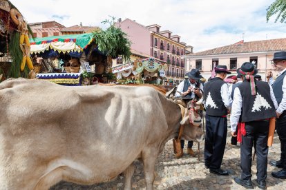 Concurso y desfile de carros engalanados en San Froilán.