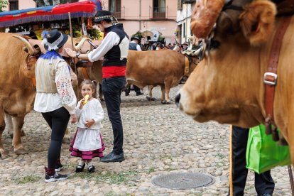 Concurso y desfile de carros engalanados en San Froilán.