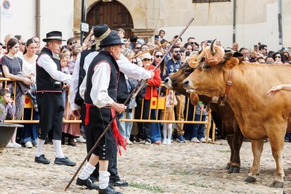 Concurso y desfile de carros engalanados por San Froilán.