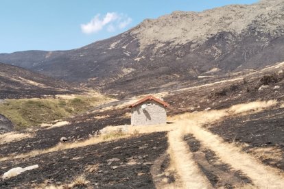 Aspecto del puerto de Valverde de la Sierra que había alquilado el pastor trashumante, tras el incendio.