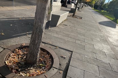 Mal estado de la plaza de San Marcos en León.