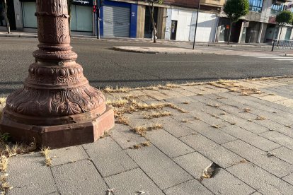 Mal estado de la plaza de San Marcos en León.