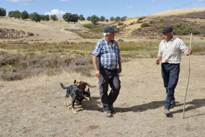 El viaje a pie del rebaño en la jornada en el valle de las Casas.