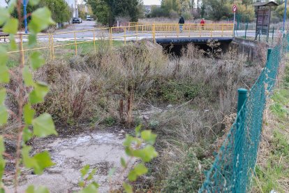 El cauce está tapado por hierbas y troncos.