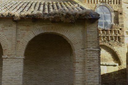 La maleza crece sin control.