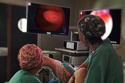 Imagen tomada durante la realización de una histeroscopia.