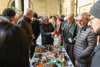 La exposición micológica contó con 189 especies y numerosas visitas.