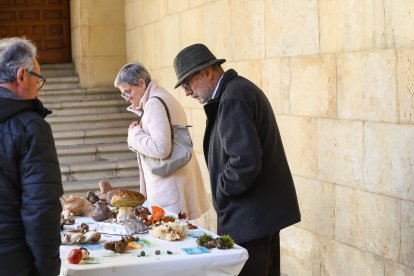La exposición micológica contó con 189 especies y numerosas visitas.